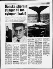 Síða 18