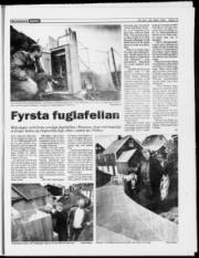Síða 19