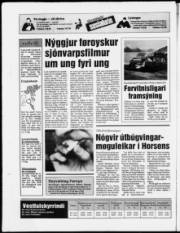 Síða 24