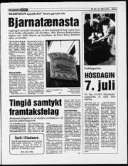Síða 3