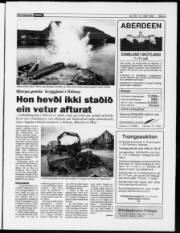 Síða 5