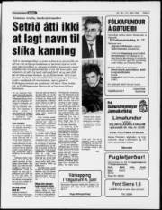 Síða 7