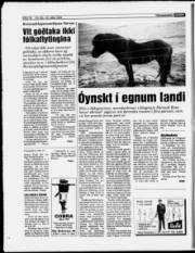 Síða 16