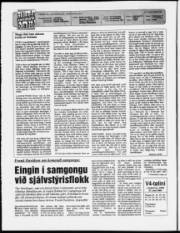 Síða 2