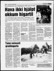 Síða 6