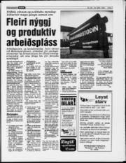 Síða 7