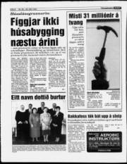 Síða 8