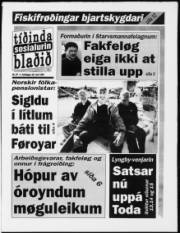 Síða 1
