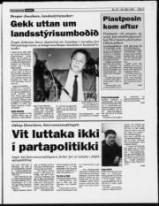 Síða 3