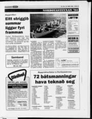 Síða 15