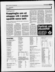 Síða 22