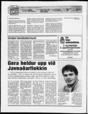 Síða 2