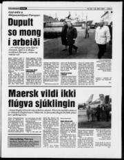 Síða 3