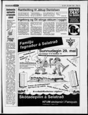 Síða 19