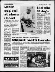 Síða 5