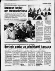 Síða 8