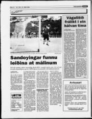 Síða 14
