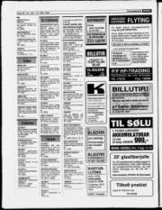 Síða 20