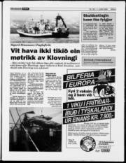 Síða 5