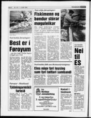 Síða 6