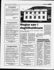 Síða 12