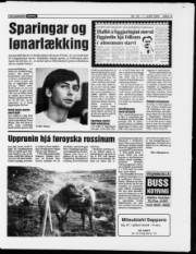 Síða 13