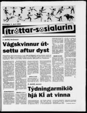 Síða 17