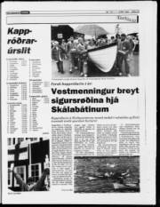 Síða 19