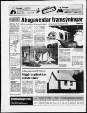 Síða 24