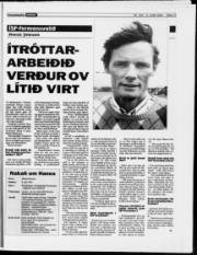 Síða 17