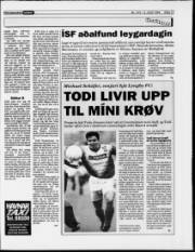 Síða 17