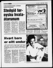 Síða 3