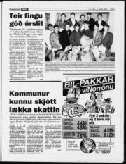 Síða 7