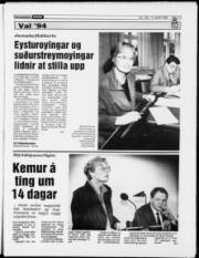 Síða 13