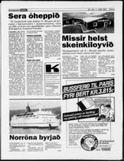Síða 3