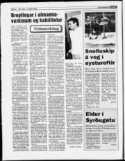 Síða 8
