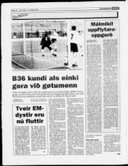 Síða 12