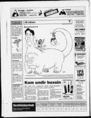 Síða 24