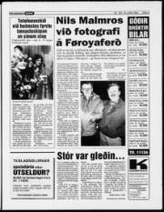 Síða 5