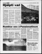 Síða 3
