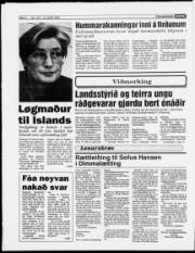 Síða 4
