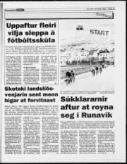 Síða 13