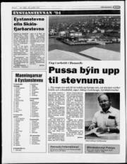 Síða 6