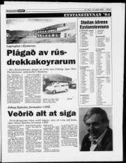 Síða 7