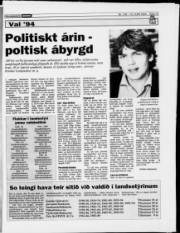 Síða 13