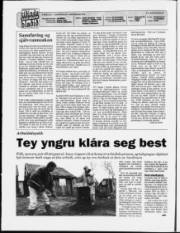 Síða 2