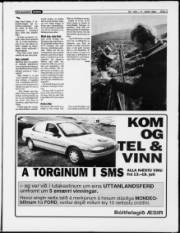 Síða 3