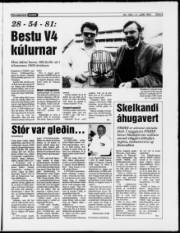 Síða 5