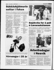 Síða 6
