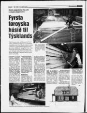 Síða 8